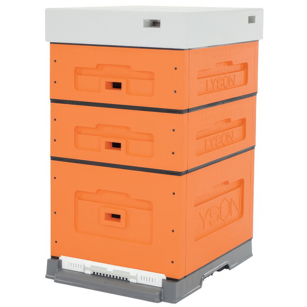 Avilys daugiaaukštis, surenkamas, 10 rėmų, Dadant lizdo — alternatyvi nuotrauka