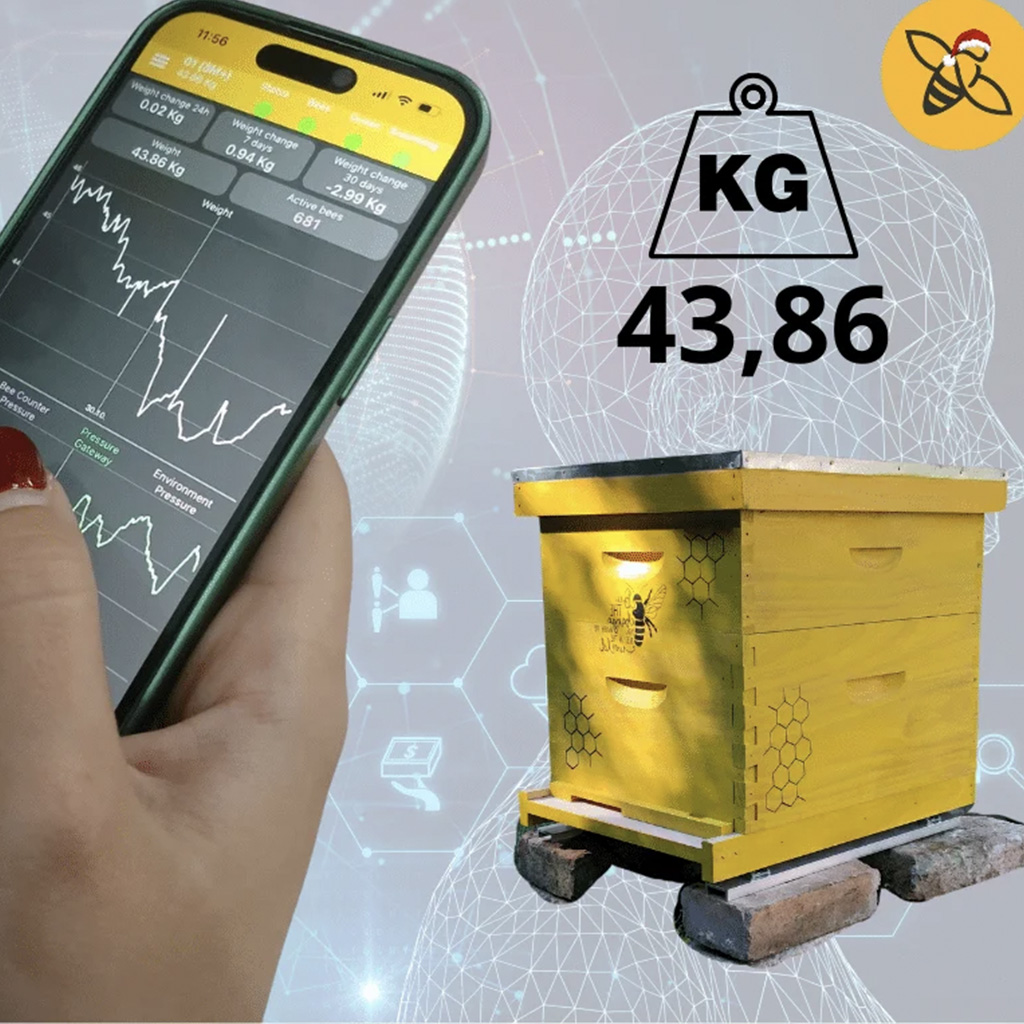 Avilio svarstyklės — alternatyvi nuotrauka