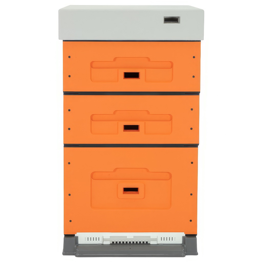 Avilys daugiaaukštis, surenkamas, 10 rėmų, Dadant lizdo