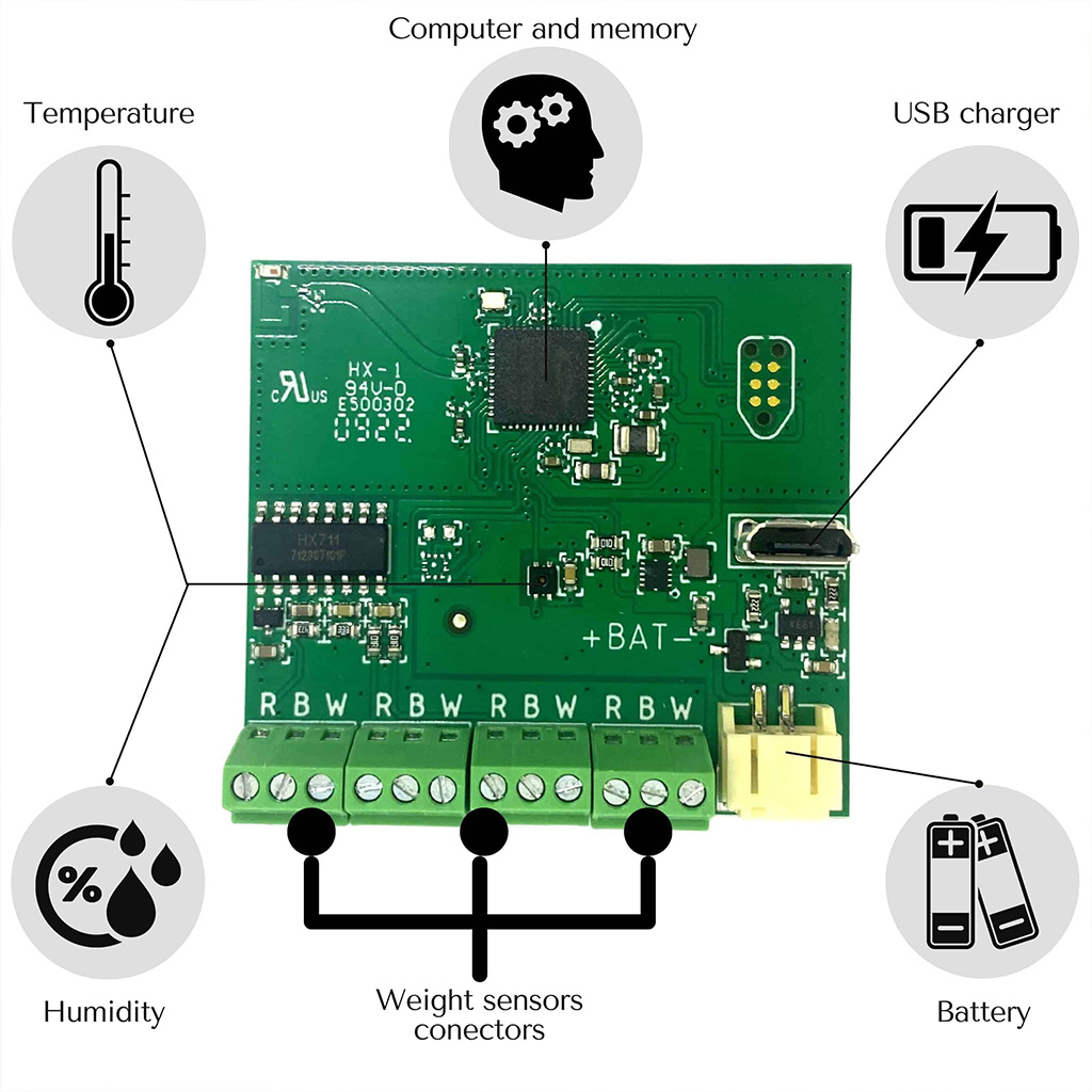 Avilio svarstyklės nuotrauka 3