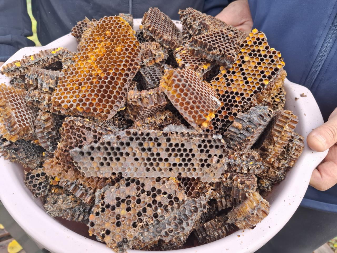 Duonos kūlimo mašina, iki 18kg/h nuotrauka 7